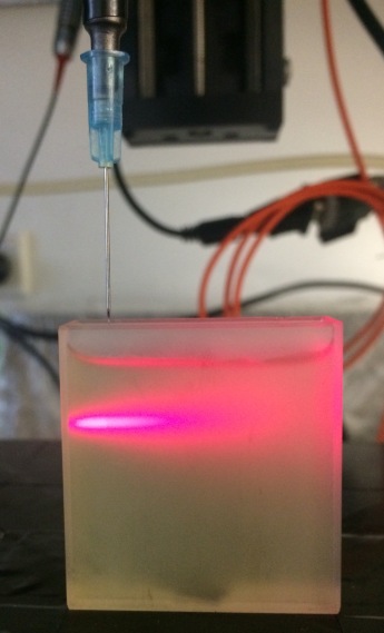 Scattering of light in cell culture